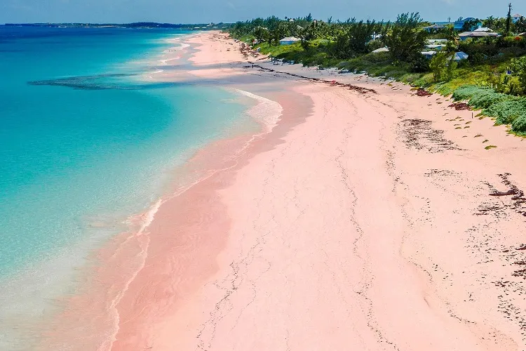 pink beach bahamas island spring break family 2023