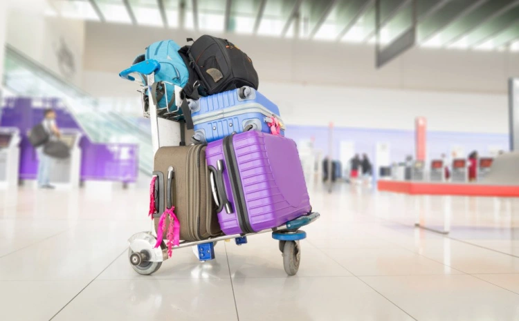 purpose of luggage tag importance and safety while travelling