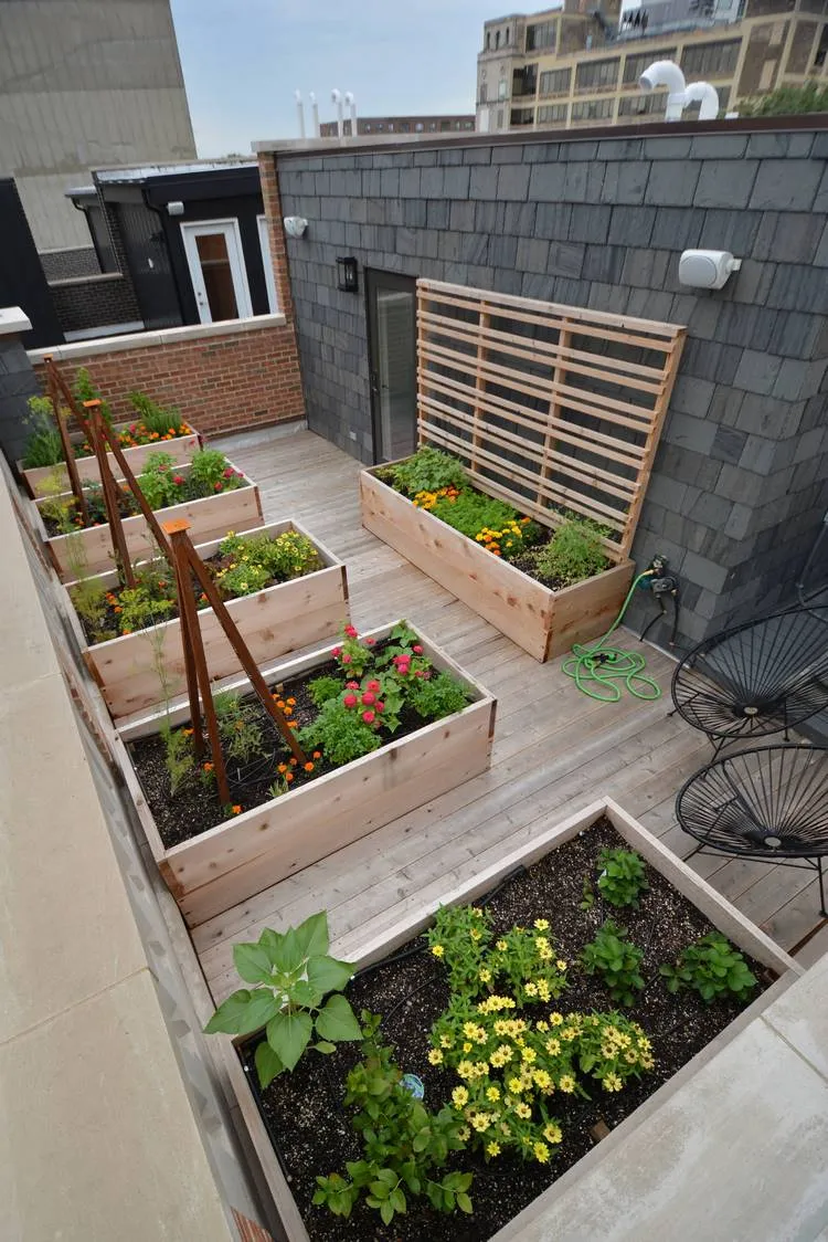 raised beds small roof garden ideas