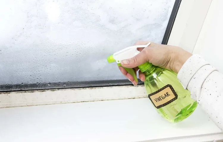 remove water stains with water and distilled white vinegar