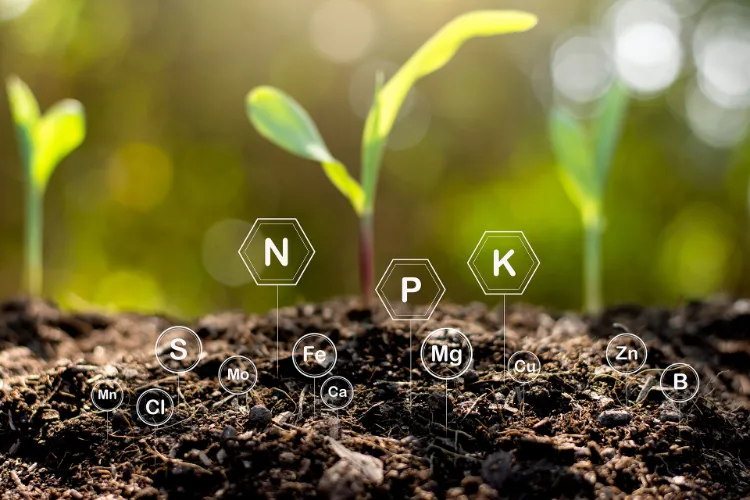 soil nutrients and soil types