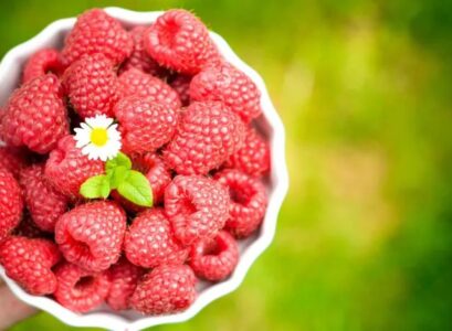 sunlight and temperature for growing raspberries