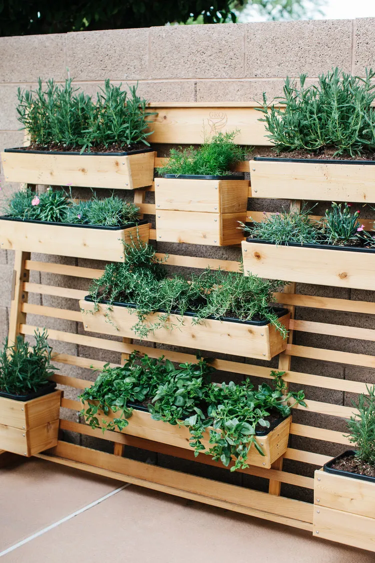 wall planter wooden tips tricks plants greenery inspiration design ideas
