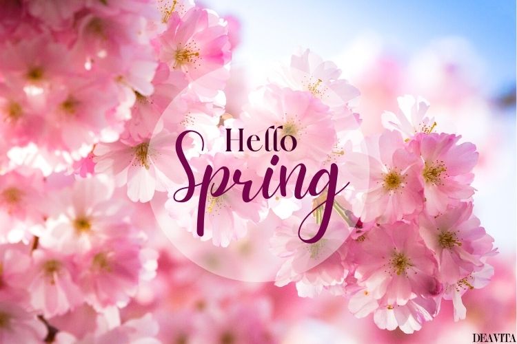 welcome spring greeting cards_spring greeting cards