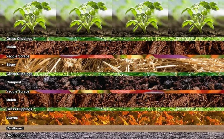 what is the garden lasagne method_gardening for beginners