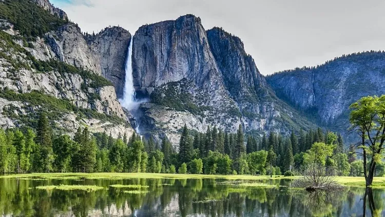yosemite national park travel for families ideas spring 2023