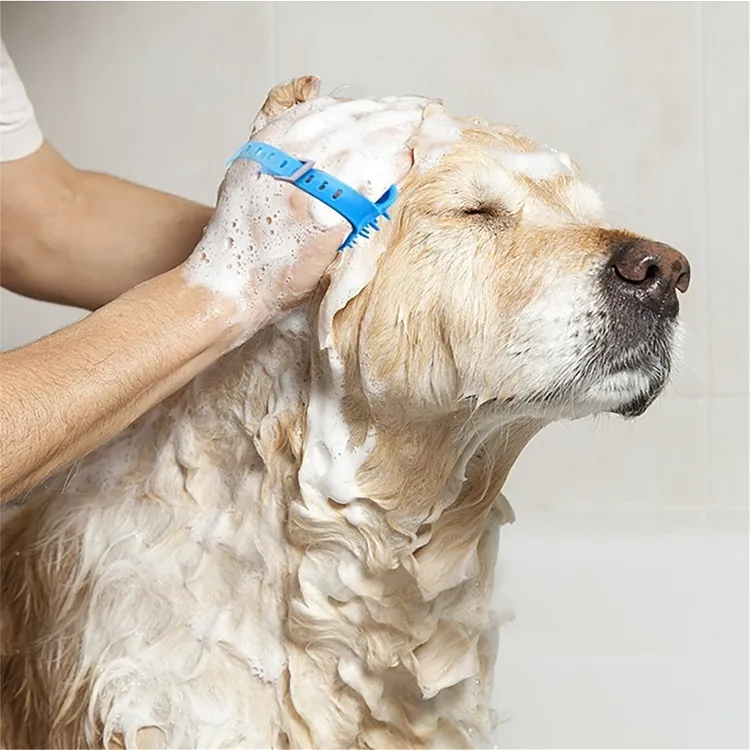 does vinegar kill ticks a dog having a bath with castell soap and vinegar