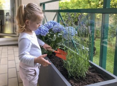 Drought Tolerant Balcony Plants they need a scarce care