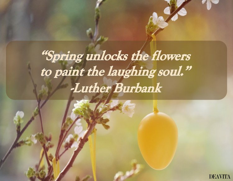 luther burbank spring quote about the laughing saul