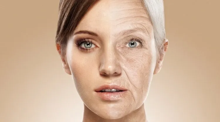 what causes the appearance of fine lines and wrinkles