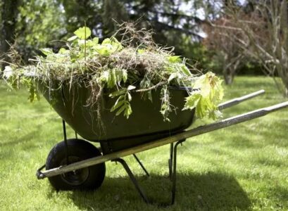 baking soda kills weeds does soda bicarbonate kill weeds how to use this effective product for your garden how to repel insects