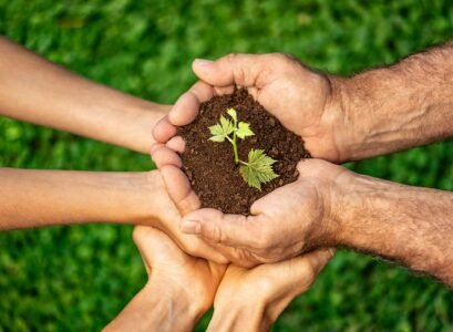 group of people holding young plant in hands