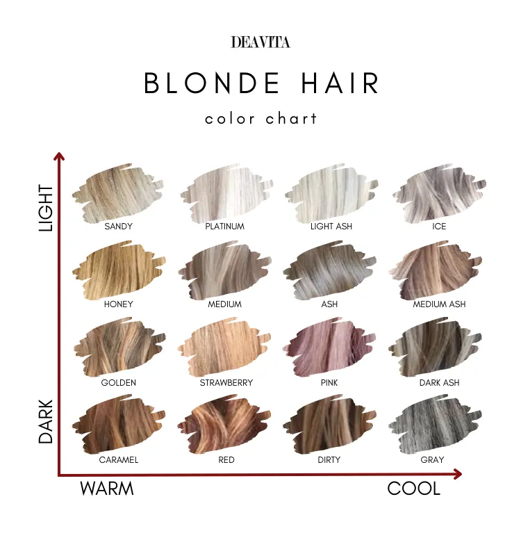 blonde hair color chart dark light warm cool