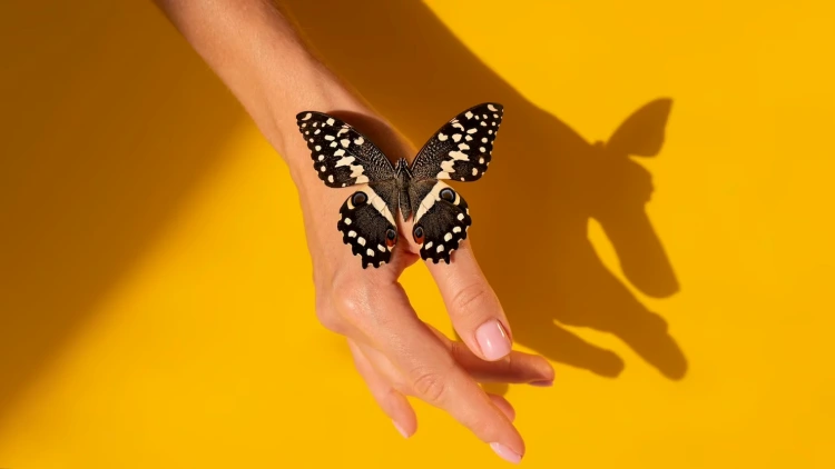 butterfly hand yellow background