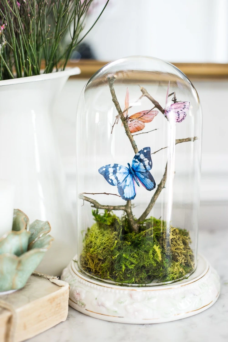 butterfly in a bell jar terrarium idea