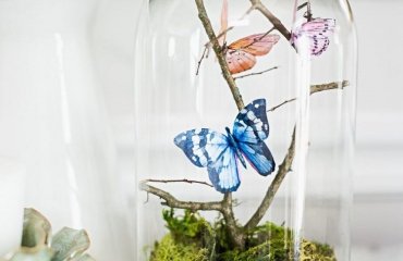 butterfly in a jar terrarium idea