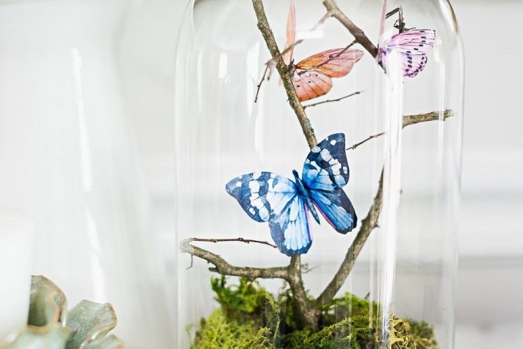 butterfly in a jar terrarium idea