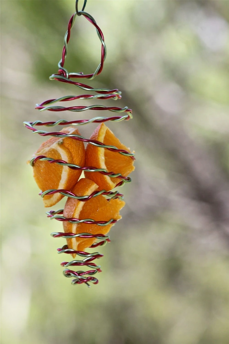 easy wire butterfly feeder orange placed inside