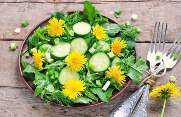 edible weeds useful and healthy for salads