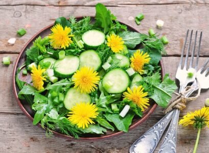 edible weeds useful and healthy for salads