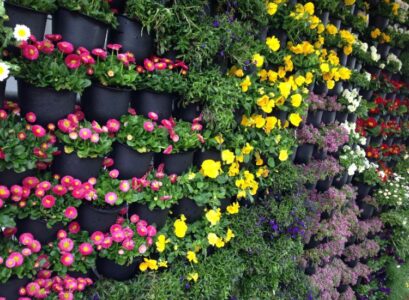 flowering plants for a vertical garden bromeliads begonia gardens flowers plants best ideas to improve your house which ferns thrive well in this environment varieties flowers