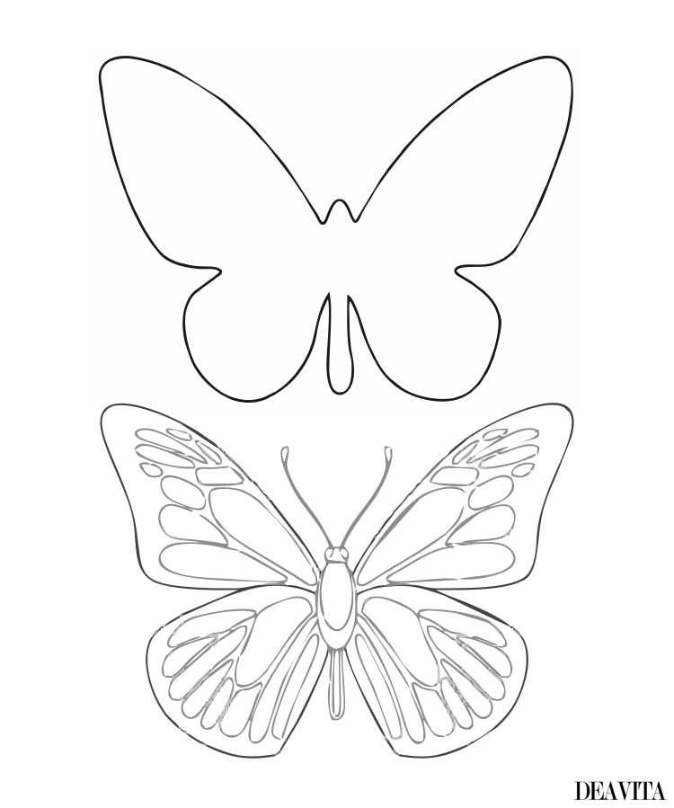free template butterfly outline