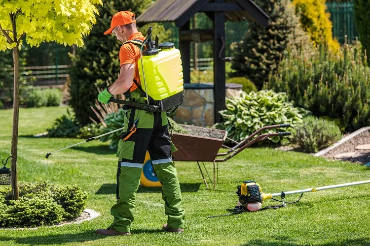 gardener spraying organic herbicides landscaping tips preventing weeds (1)