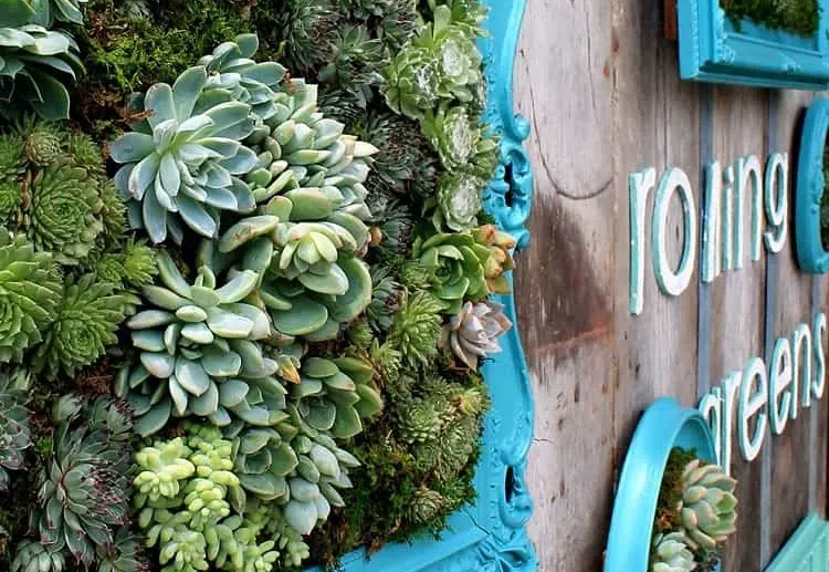 how can i make a vartical garden
