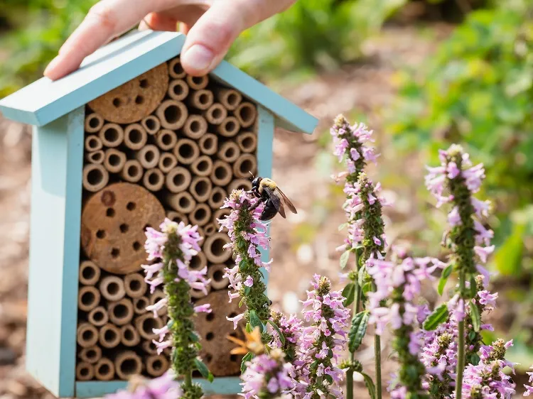 how to attract pollinators to greenhouse provide a bee house