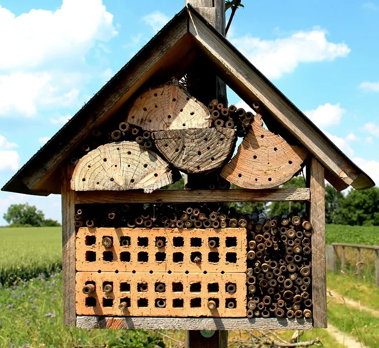 how to attract pollinators to your garden make a bee home