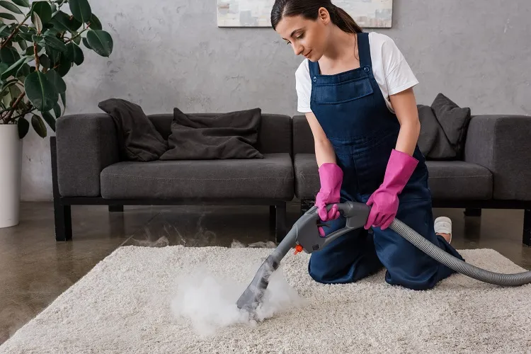 how to get rid of pollen in house stem cleaner for carpets and seats