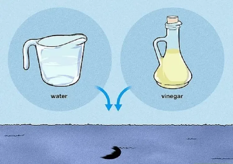 how to get rid of skunk smell from clothers with water with vinegar