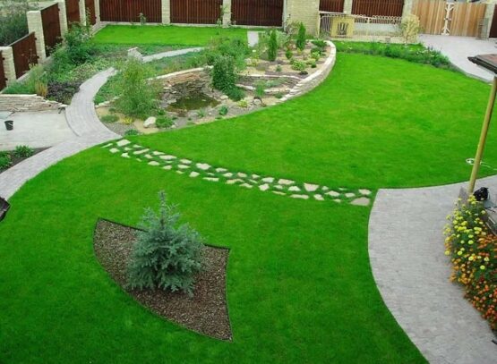 how to make the lawn thicker and green mow it