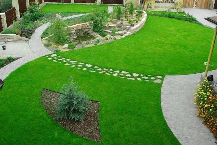how to make the lawn thicker and green mow it