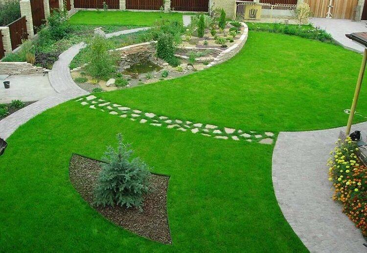 how to make the lawn thicker and green mow it