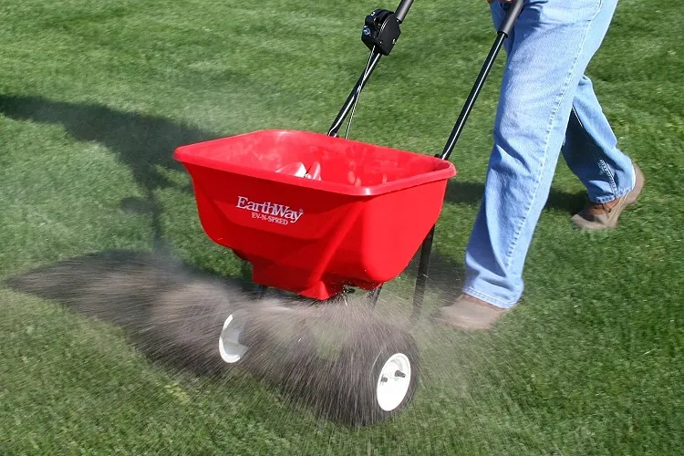 how to make the lawn thicker and green sprinkle with fertilizer 1