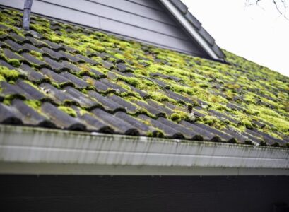 how to remove moss from a roof tips and tricks