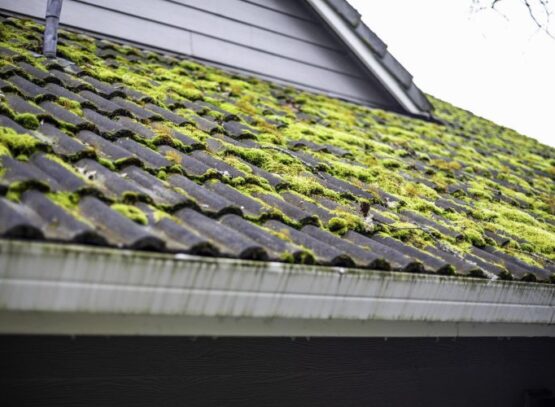 how to remove moss from a roof tips and tricks