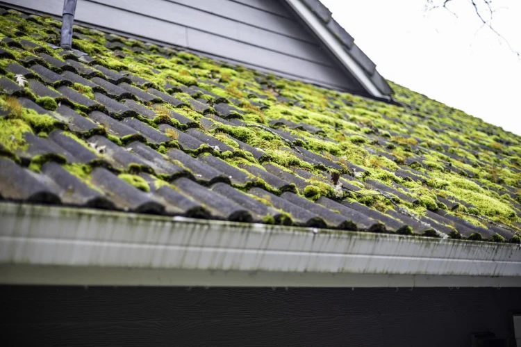 how to remove moss from a roof tips and tricks