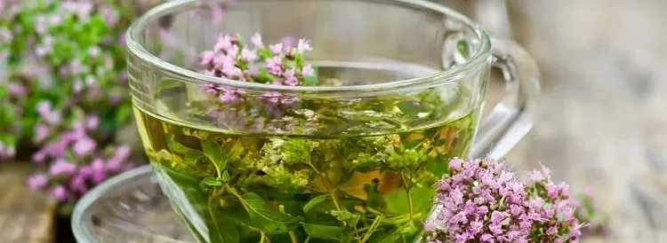 how to take oregano diluted