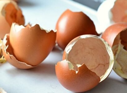 how to use egg shells 7 reasons no to throw them away