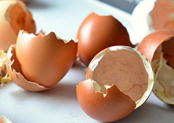 how to use egg shells 7 reasons no to throw them away