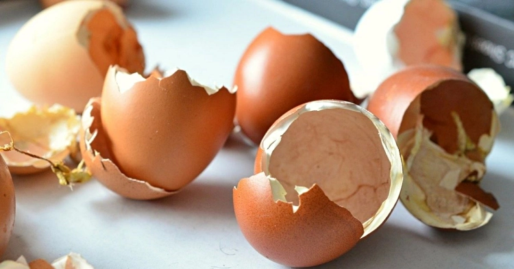 how to use egg shells 7 reasons no to throw them away