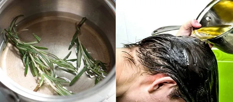 how to use rosemary water for hair rinse the scalp and the hair
