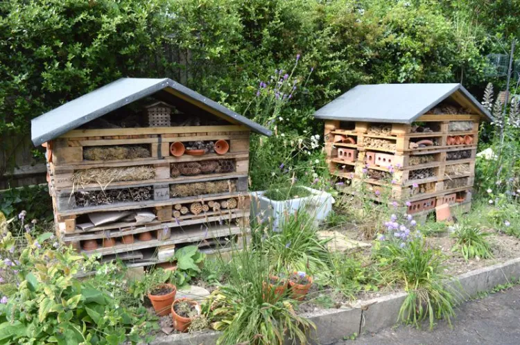 how to use wooden pallets in your garden diy projects how to improve the design and functionality the right way how to make your backyard look more amazing