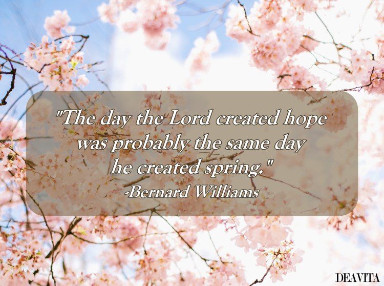 inspirational quote about hope and spring bernard williams