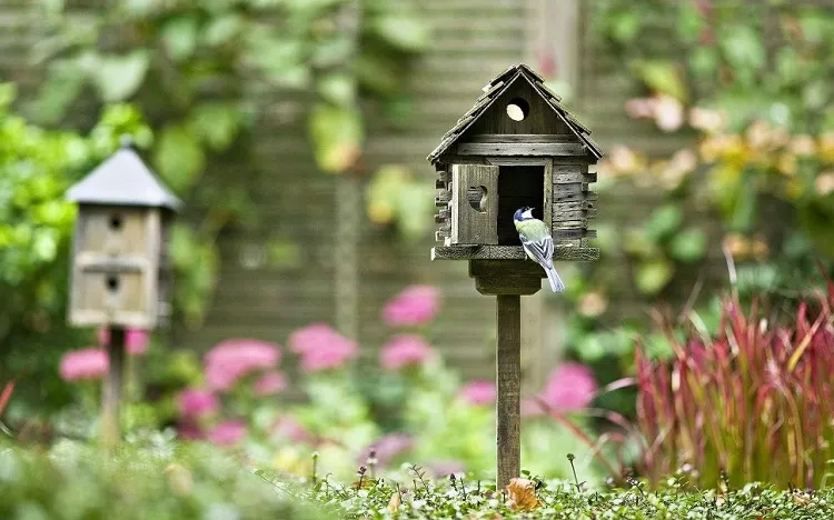 make bird homes in your garden tips and tricks ideas