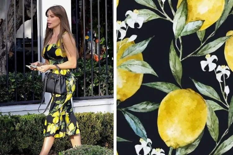 sofia vergara dolce and gabbana lemon print dress
