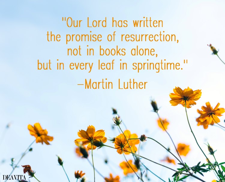 the promise of resurrection is in every leaf in springtime martin luther