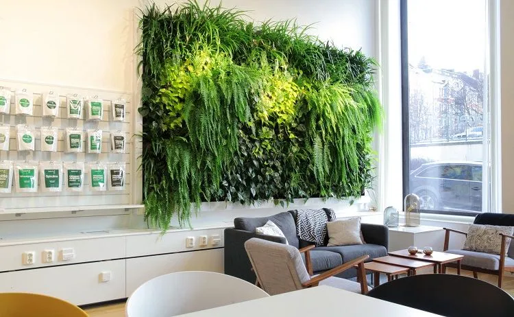 vertical garden indoor idea